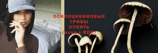 меф Белокуриха