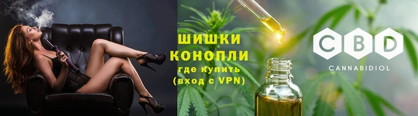 индика Балабаново
